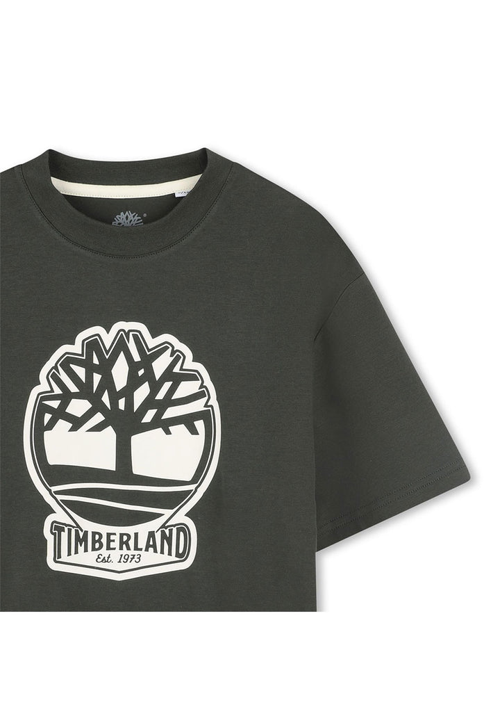 TIMBERLAND T-shirt TIMBERLAND da BAMBINO - Verde