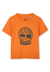 TIMBERLAND T-shirt TIMBERLAND da BAMBINO - Arancio