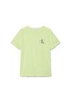 CALVIN KLEIN JEANS T-shirt CALVIN KLEIN JEANS da BAMBINO - verde